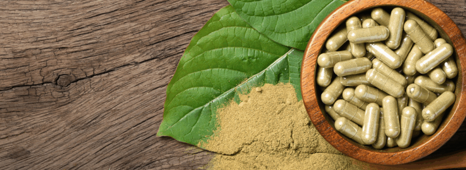 Kratom Header 1920 x 585